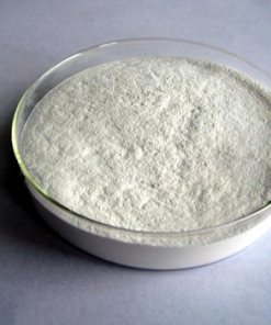 Polyanionic Cellulose (PAC) - 1